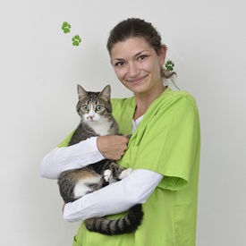 Foto A. Reich